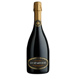 Franciacorta Extra Brut Millesimato