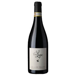Casa Lupo Amarone della Valpolicella DOCG 2020 0,75 ℓ