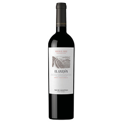 Ribera del Duero El Anejón