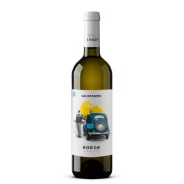 Sauvignon Igt Trevenezie – Borga