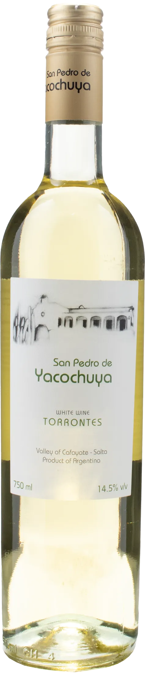 San Pedro de Yacochuya Torrontes