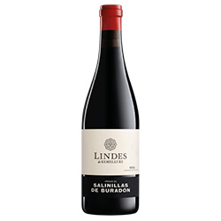 Rioja Viñedos de Salinillas de Buradón Lindes