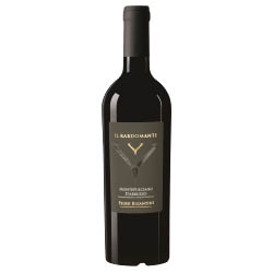 Feudi Bizantini Il Rabdomante Montepulciano d'Abruzzo DOC 2022 0,75 ℓ