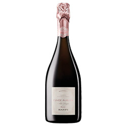 Alta Langa Extra Brut Cuvée Aurora Rosé