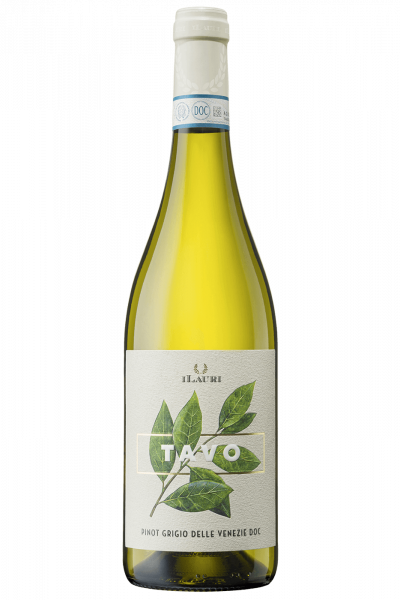 Pinot Grigio Delle Venezie Tavo iLauri