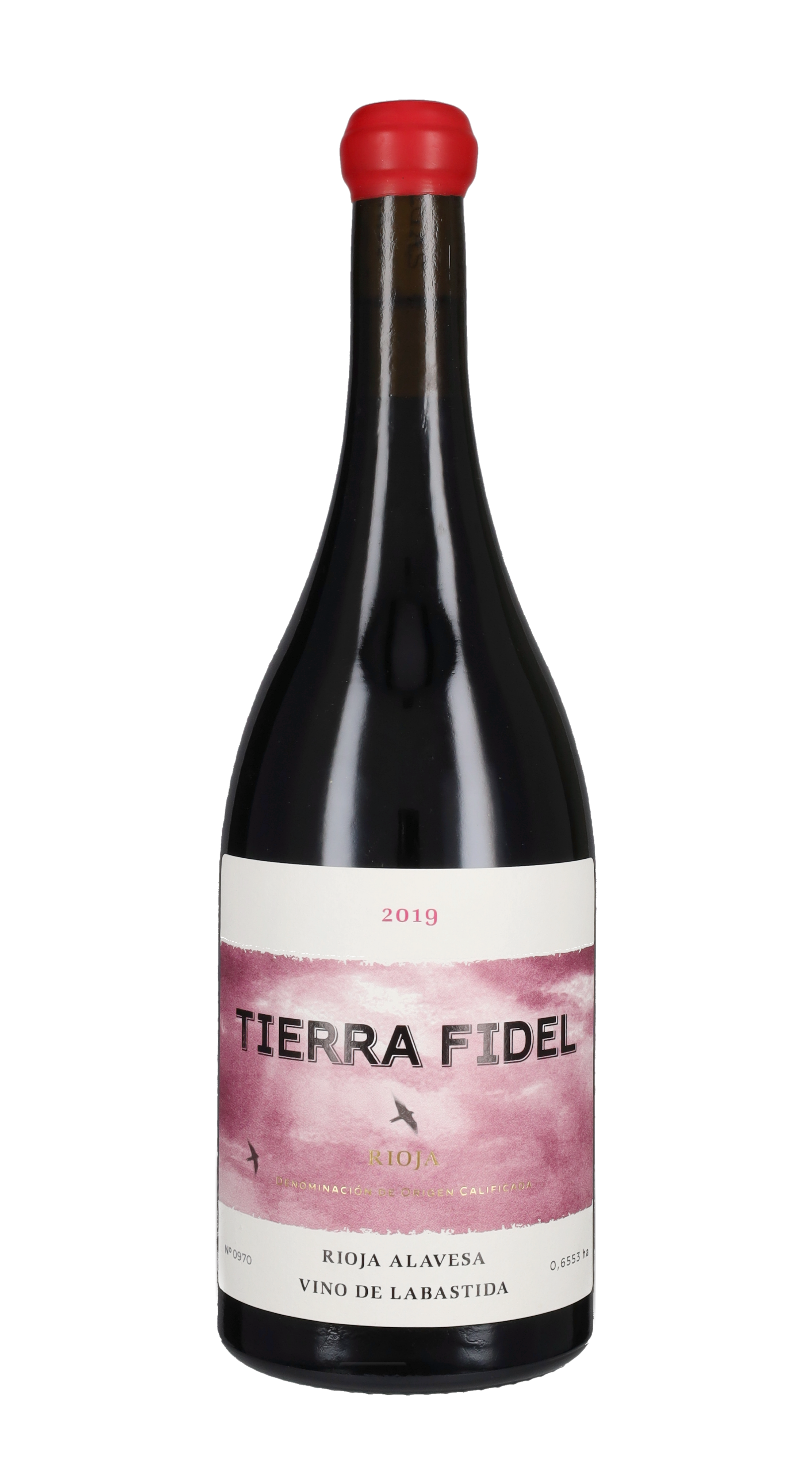 Tierra Fidel Tinto Bodegas Tierra