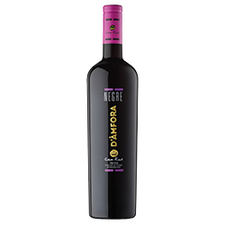 Can Rich Negre D’Àmfora Vino de la Tierra de Ibiza IGP 2022 0,75 ℓ