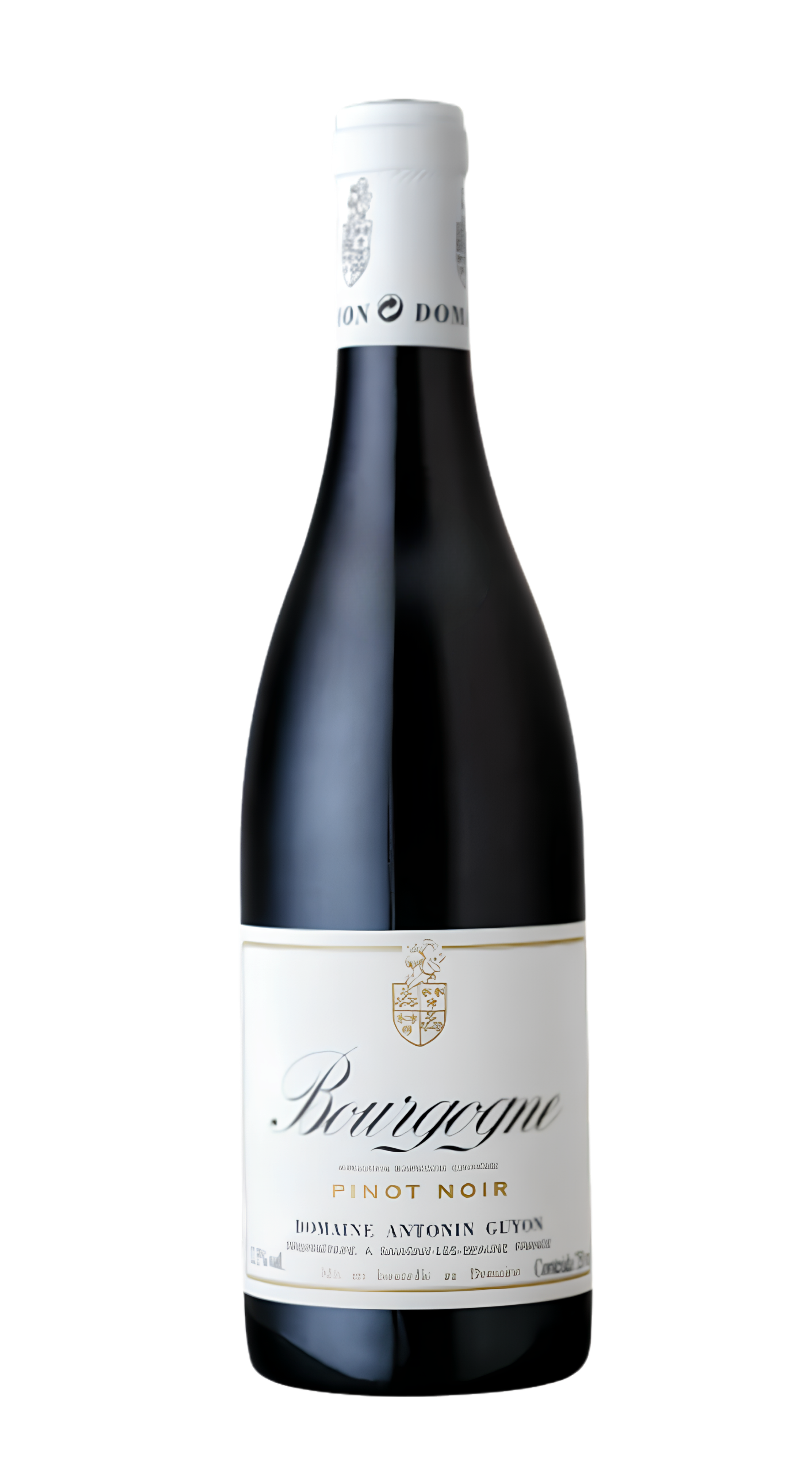 Bourgogne Pinot Noir