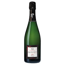 Champagne Brut Blanc de Noirs Aladiah