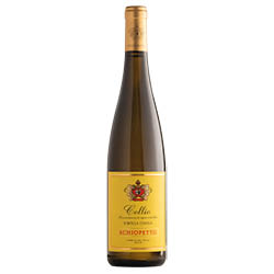 Collio Ribolla Gialla