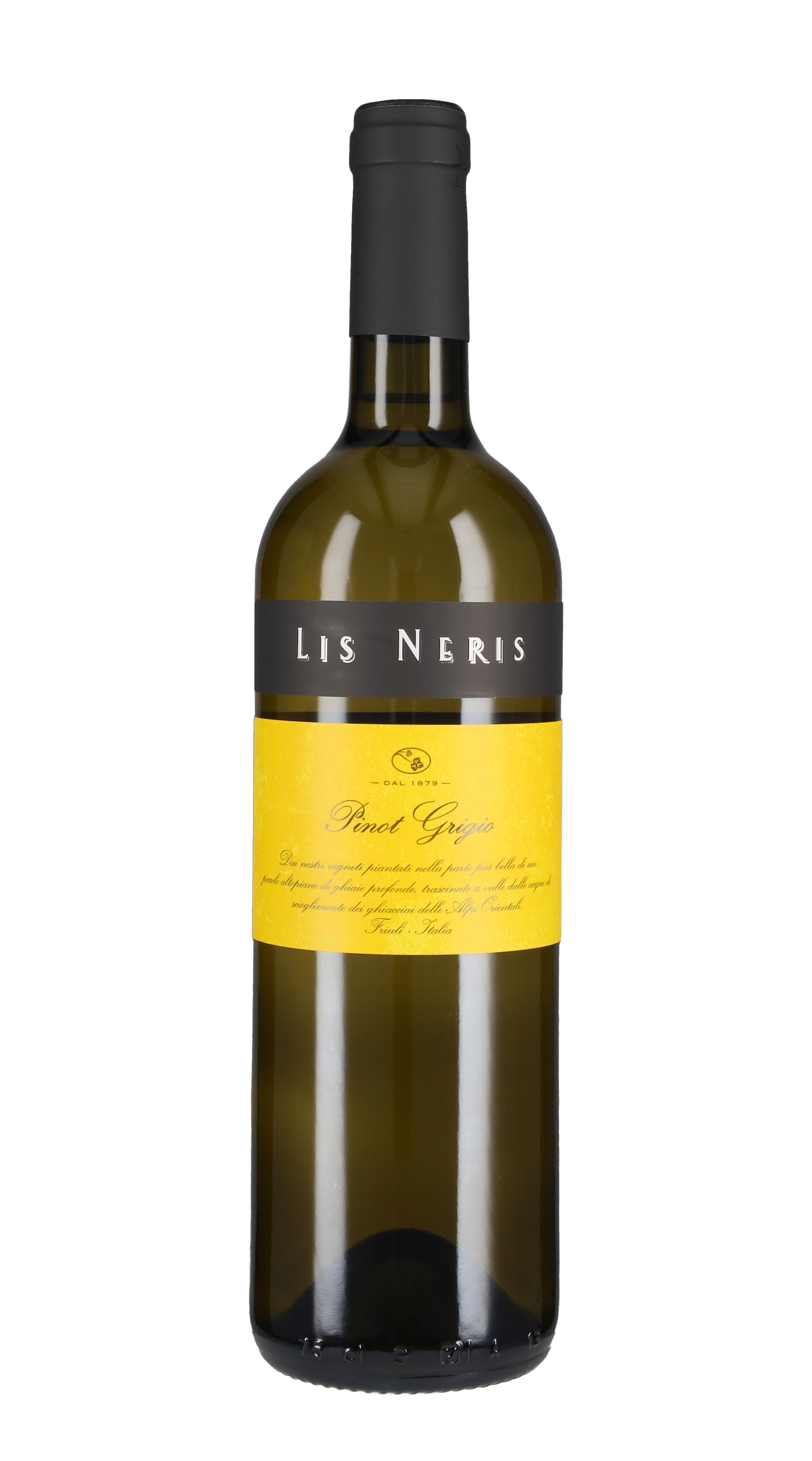 Pinot Grigio