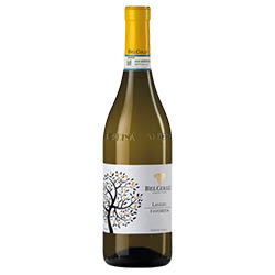 Bel Colle Langhe DOC Favorita 2024 0,75 ℓ