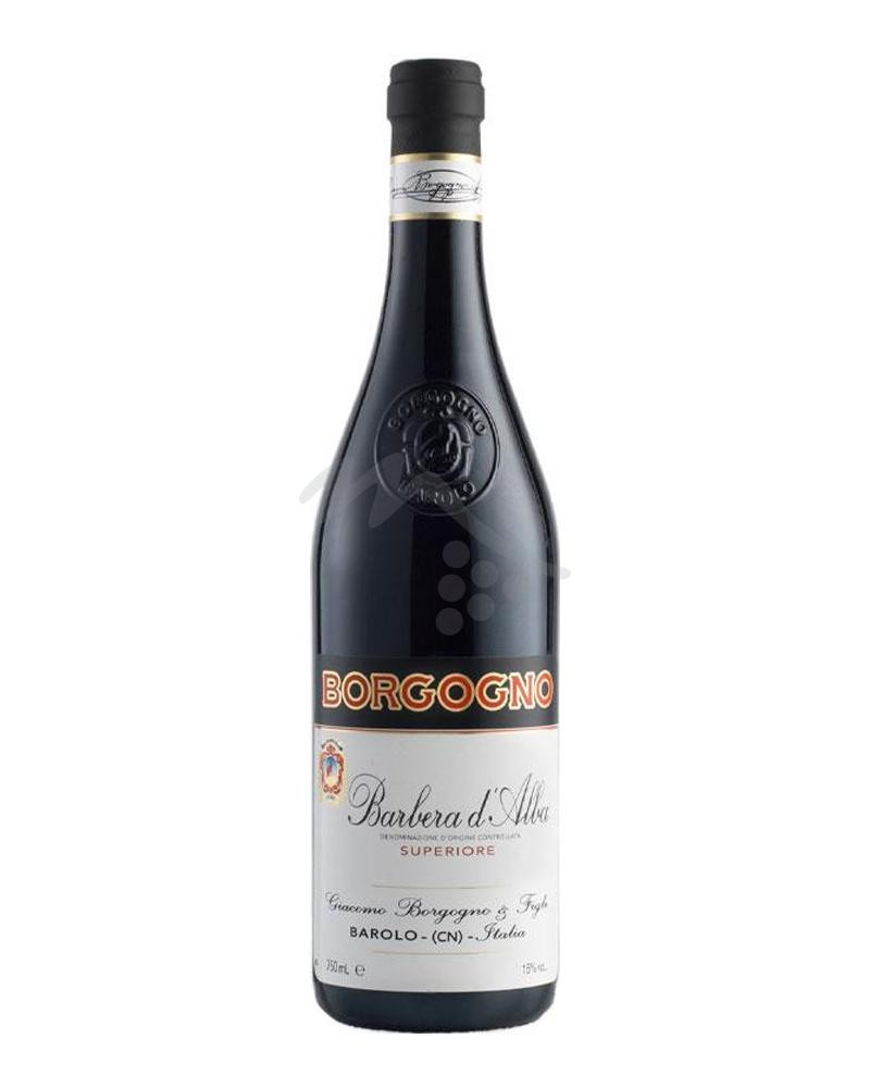 Barbera 2020 Langhe DOC Borgogno