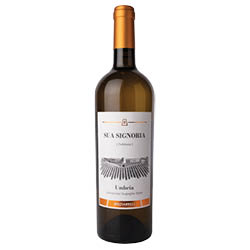 Briziarelli Sua Signoria Umbria IGT Trebbiano 2023 0,75 ℓ