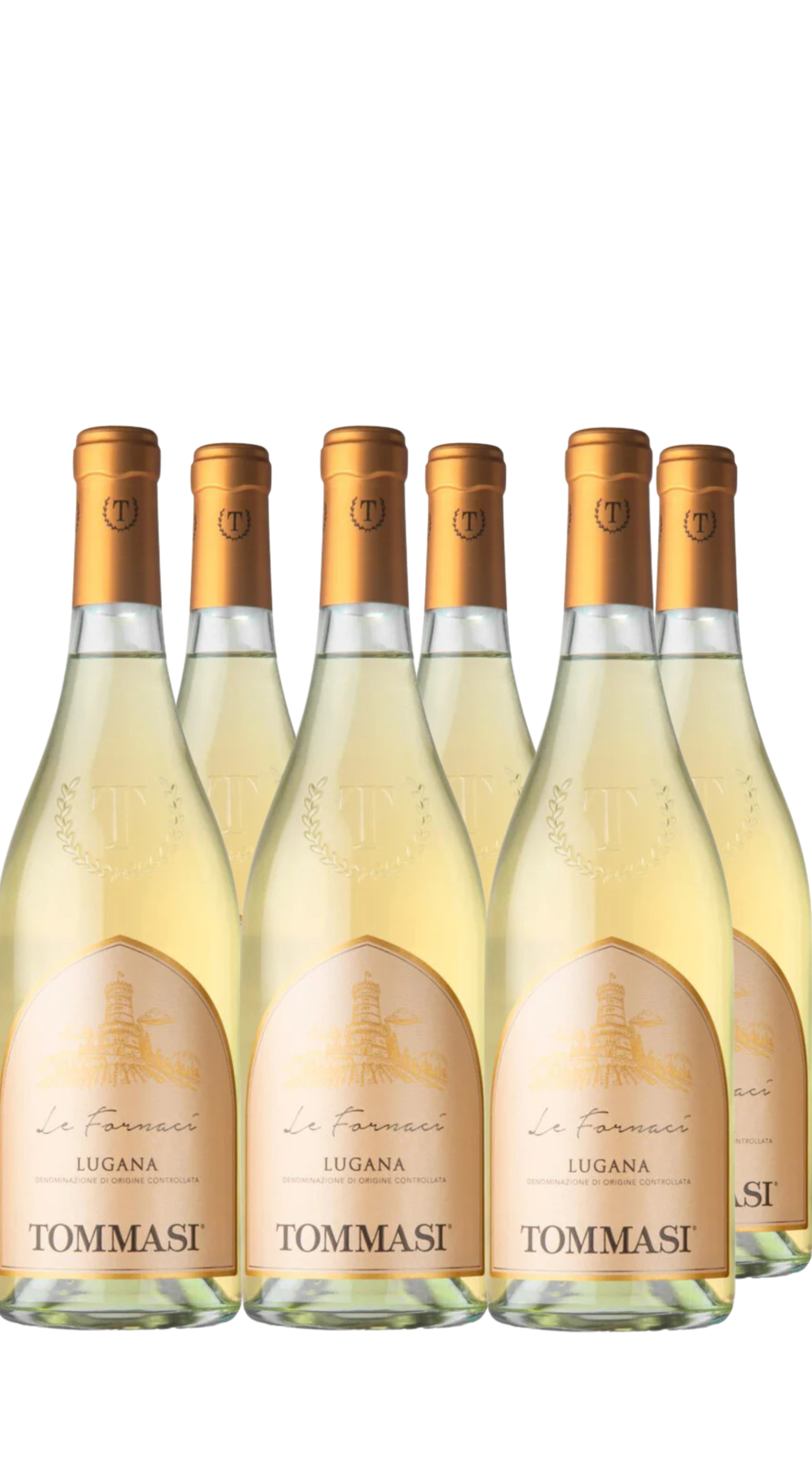 Wine Box Lugana 'Le Fornaci' (6bt)
