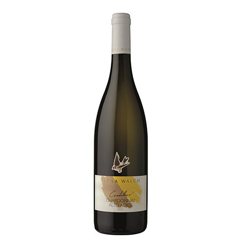 Alto Adige Chardonnay "Cardellino" - Elena Walch
