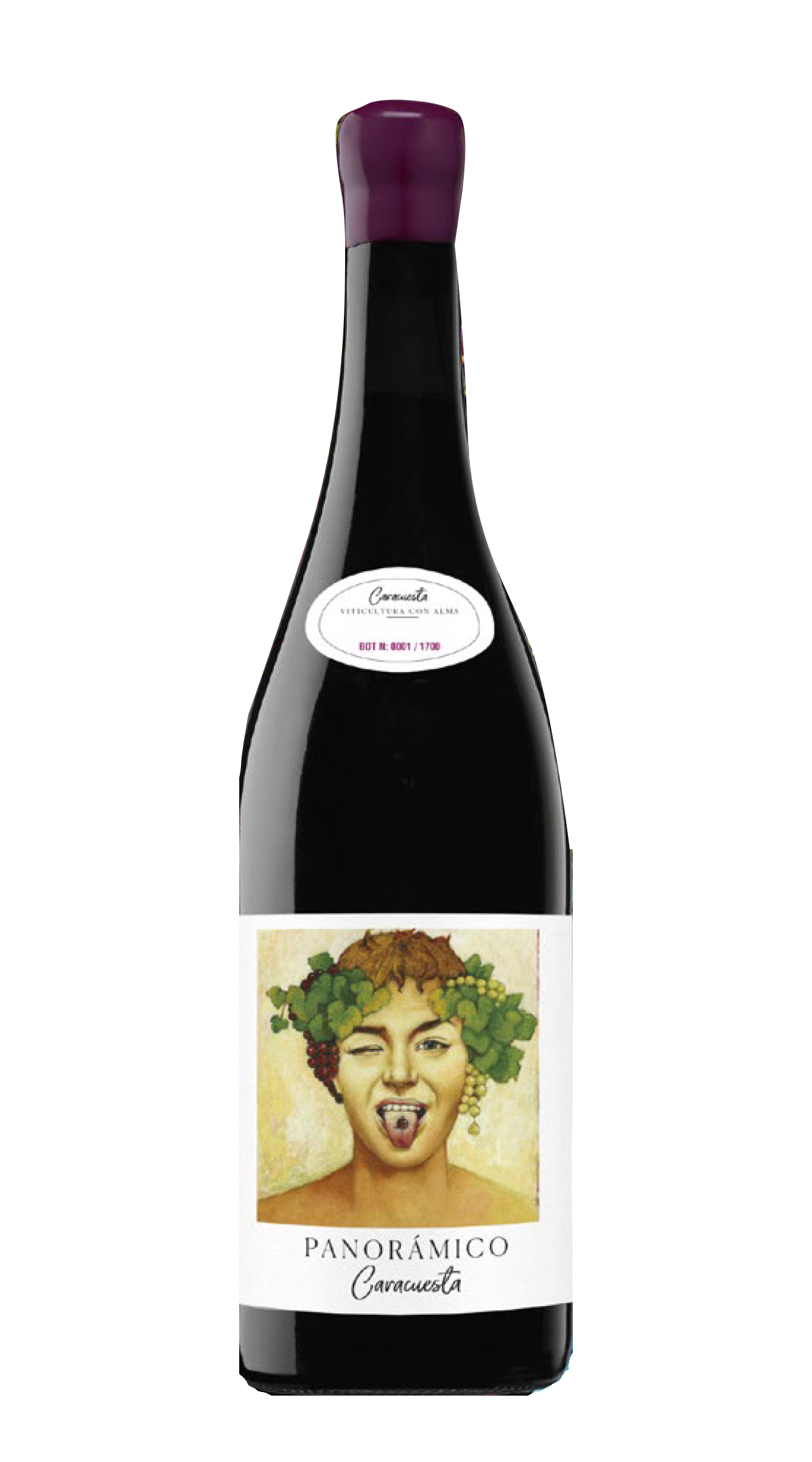 Rioja Tinto 'Caracuesta' Panoramico