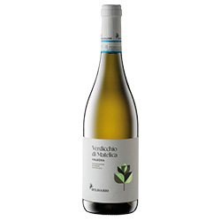 Belisario Valbona Verdicchio di Matelica DOC 2025 0,75 ℓ