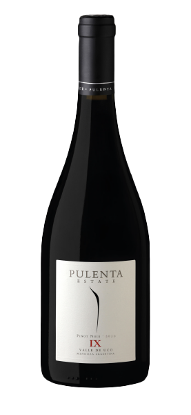 "IX" Pinot Noir 2022