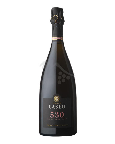 530 Pinot Nero Rosé Brut 2017 VSQ Tenuta di Caseo