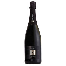 Franciacorta Brut Satèn Millesimato