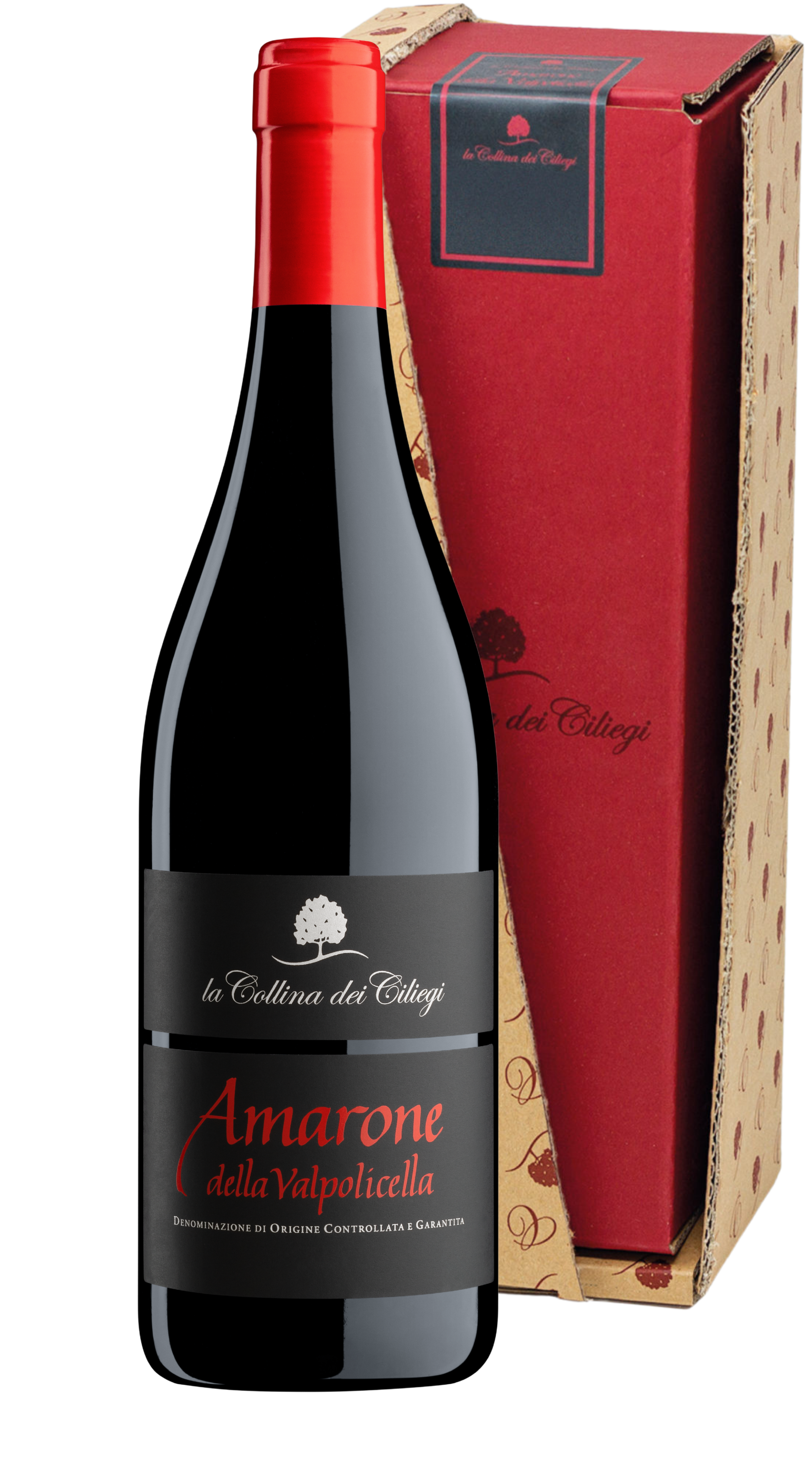 Amarone della Valpolicella Magnum Collina dei Ciliegi