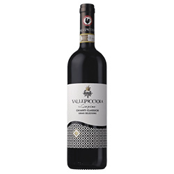 Chianti Classico Gran Selezione Vigneto Lapina