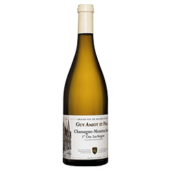 Chassagne-Montrachet 1er Cru Les Vergers