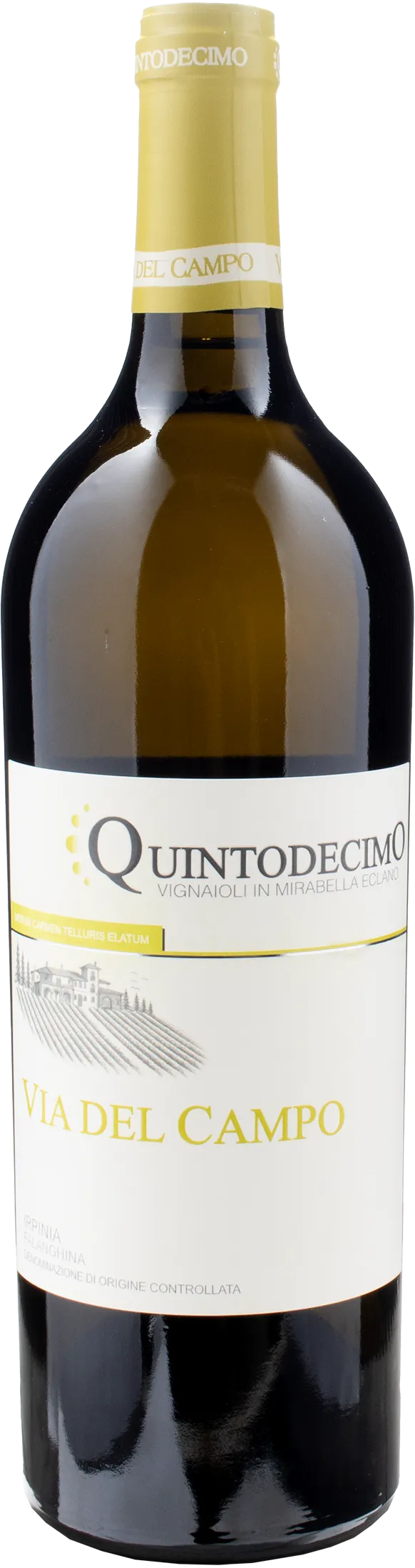 Irpinia Falanghina Via del Campo Magnum