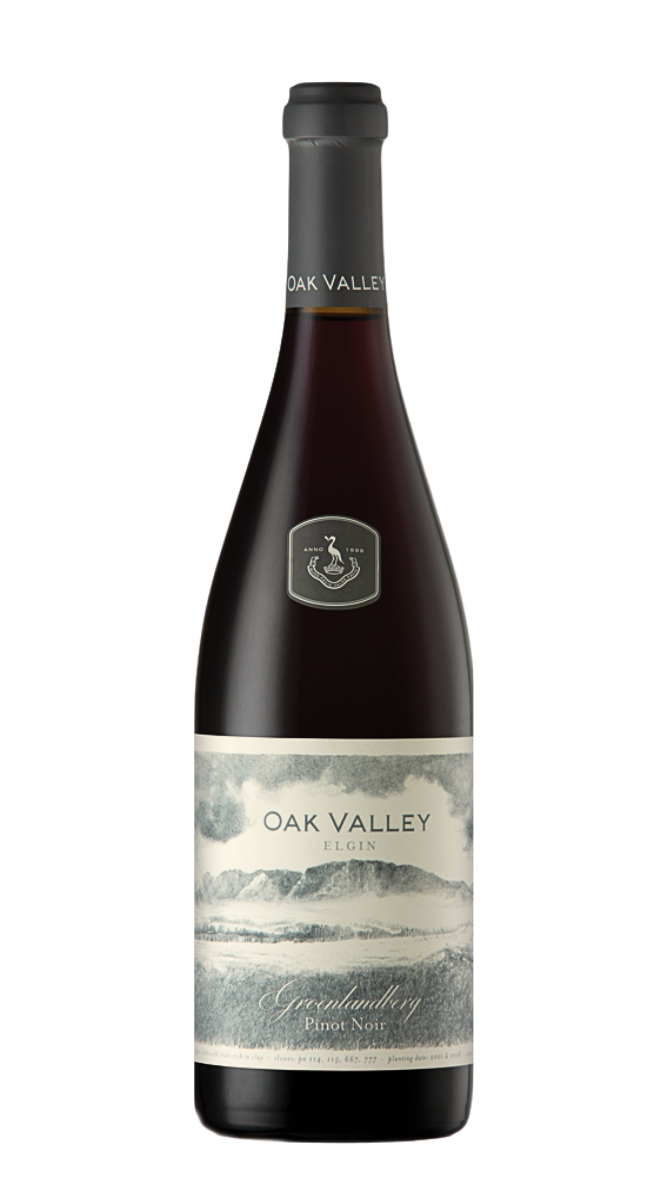 Pinot Noir 'Groenlandberg'