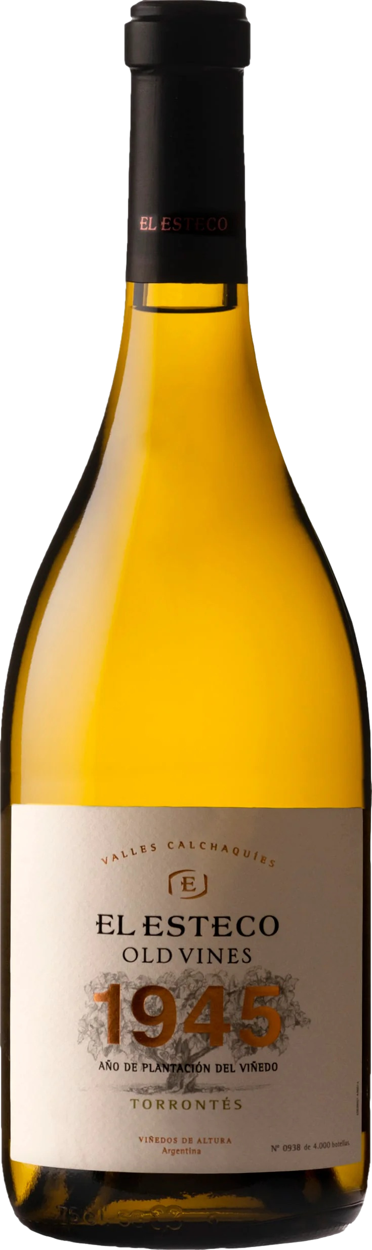 El Esteco Old Vines Torrontes 2023