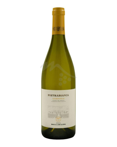 Pietrabianca 2024 Castel del Monte DOC Tenuta Bocca di Lupo