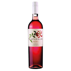 Mendoza IG Rosado de Malbec