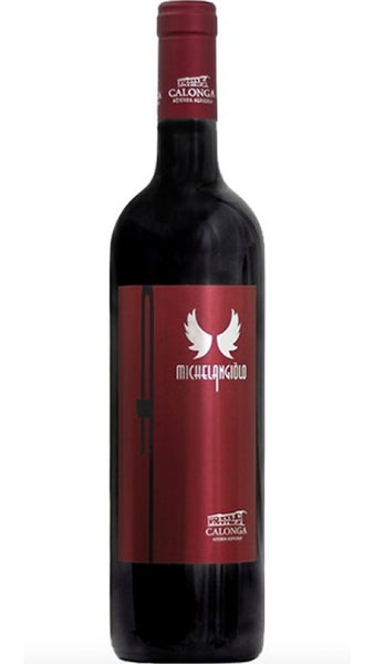 Sangiovese Romagna Superiore Riserva DOC - Michelangiolo