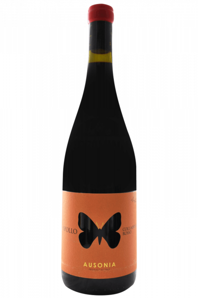 Colli Aprutini Rosso Apollo Ausonia