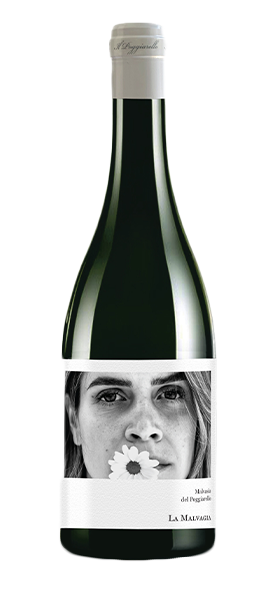 La Malvagia Malvasia Emilia IGT 2024
