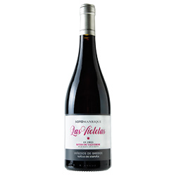 SotoManrique Las Violetas Cebreros DOP 2021 0,75 ℓ