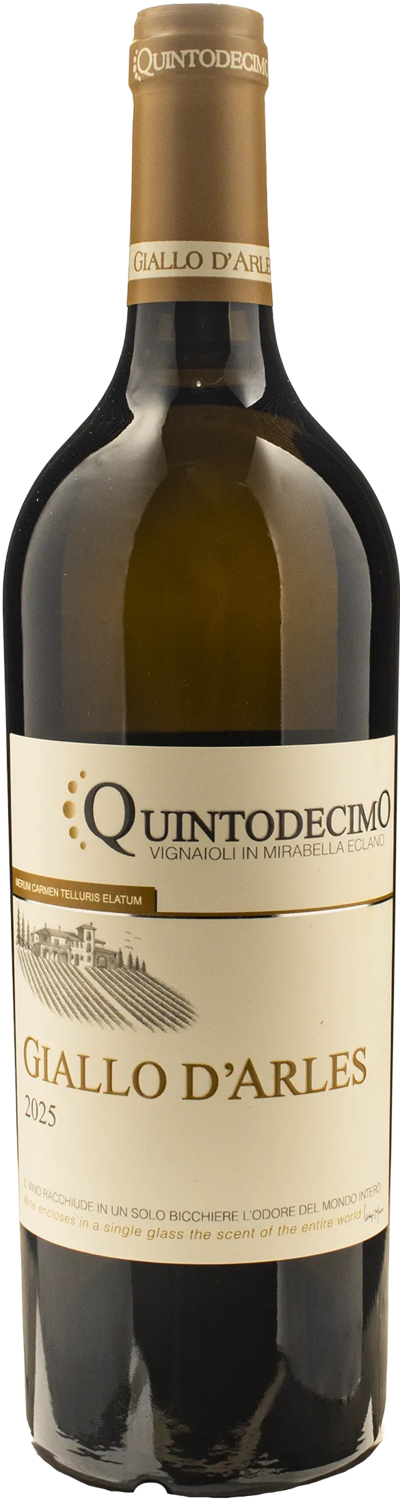 Greco di Tufo Giallo d'Arles