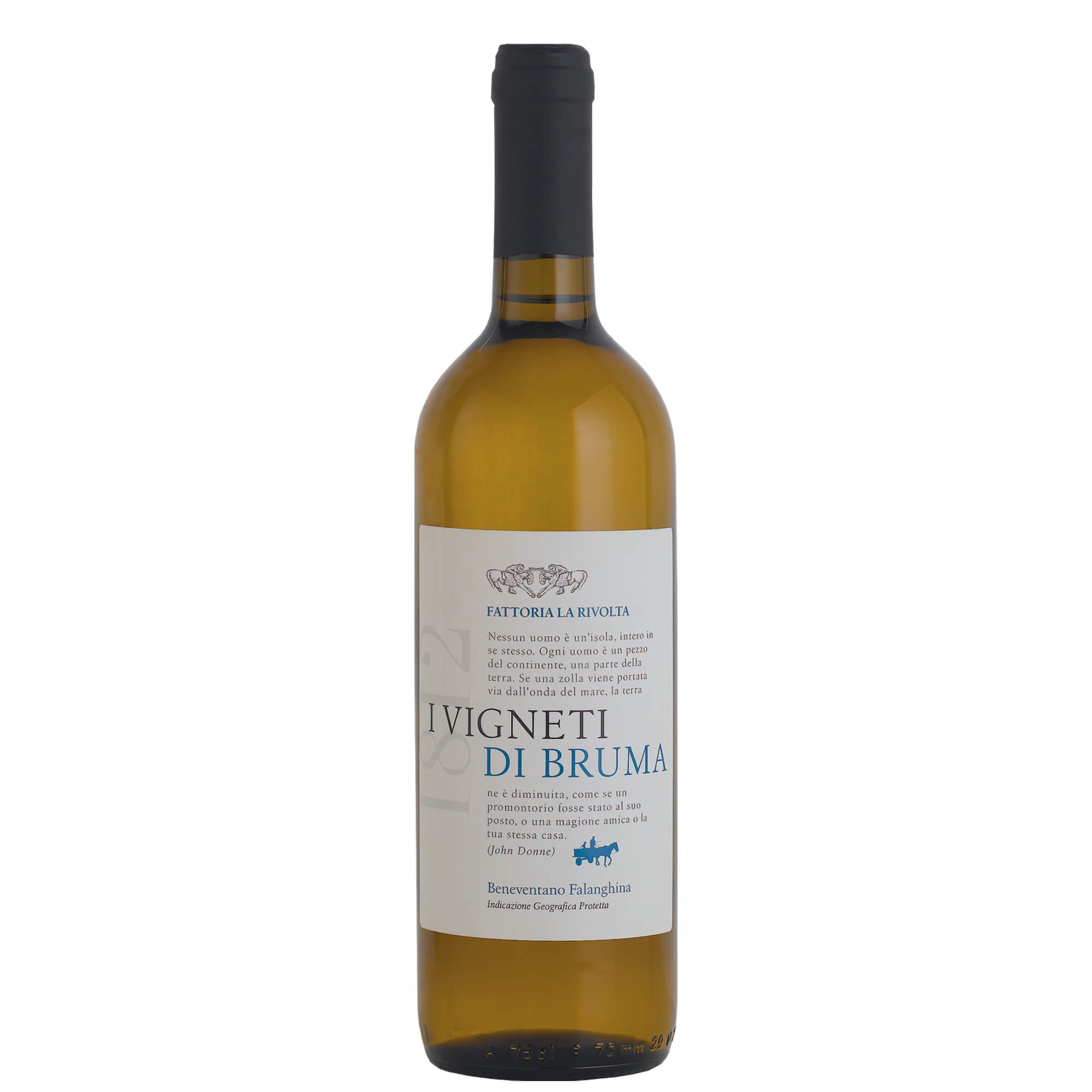 Beneventano Falanghina IGP Vigneti di Bruma