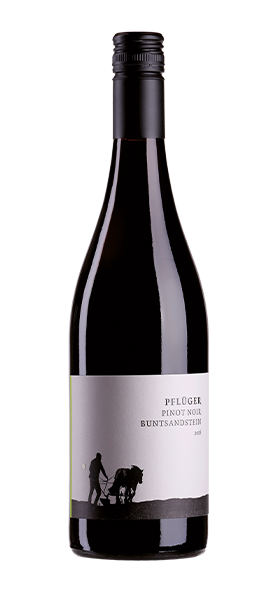 "Vom Buntsandstein" Pinot Noir Pflaz 2024