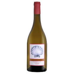 Toscana Chardonnay Lamelle