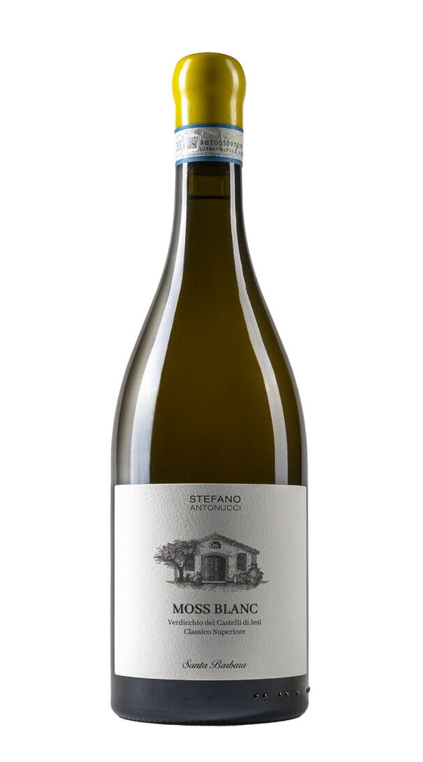 Verdicchio dei Castelli di Jesi Classico Superiore 'Moss Blanc'