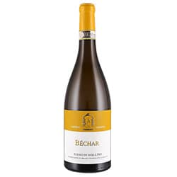 Caggiano Béchar Fiano di Avellino DOCG 2024 0,75 ℓ