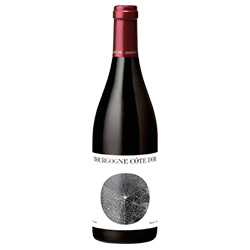 Louis Jadot Bourgogne Côte d'Or AOC 2022 0,75 ℓ