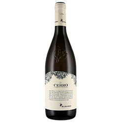 Verdicchio di Matelica Vigneti del Cerro