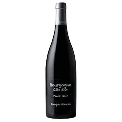 Bourgogne Côte d'Or Pinot Noir