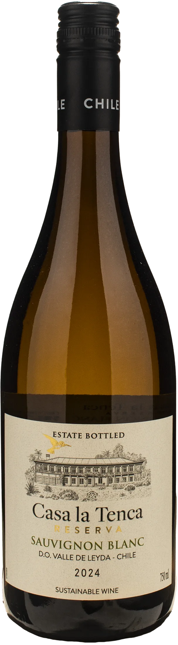 Sauvignon Blanc Reserva