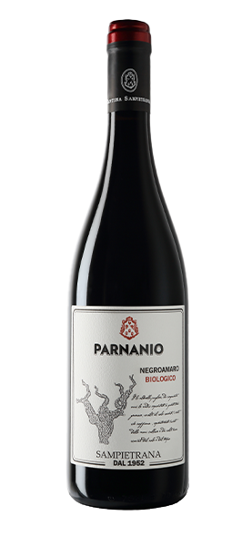 "Parnanio" Negroamaro BIO Salento IGP 2024