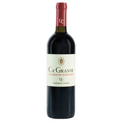 Sangiovese di Romagna Superiore Ca' Grande