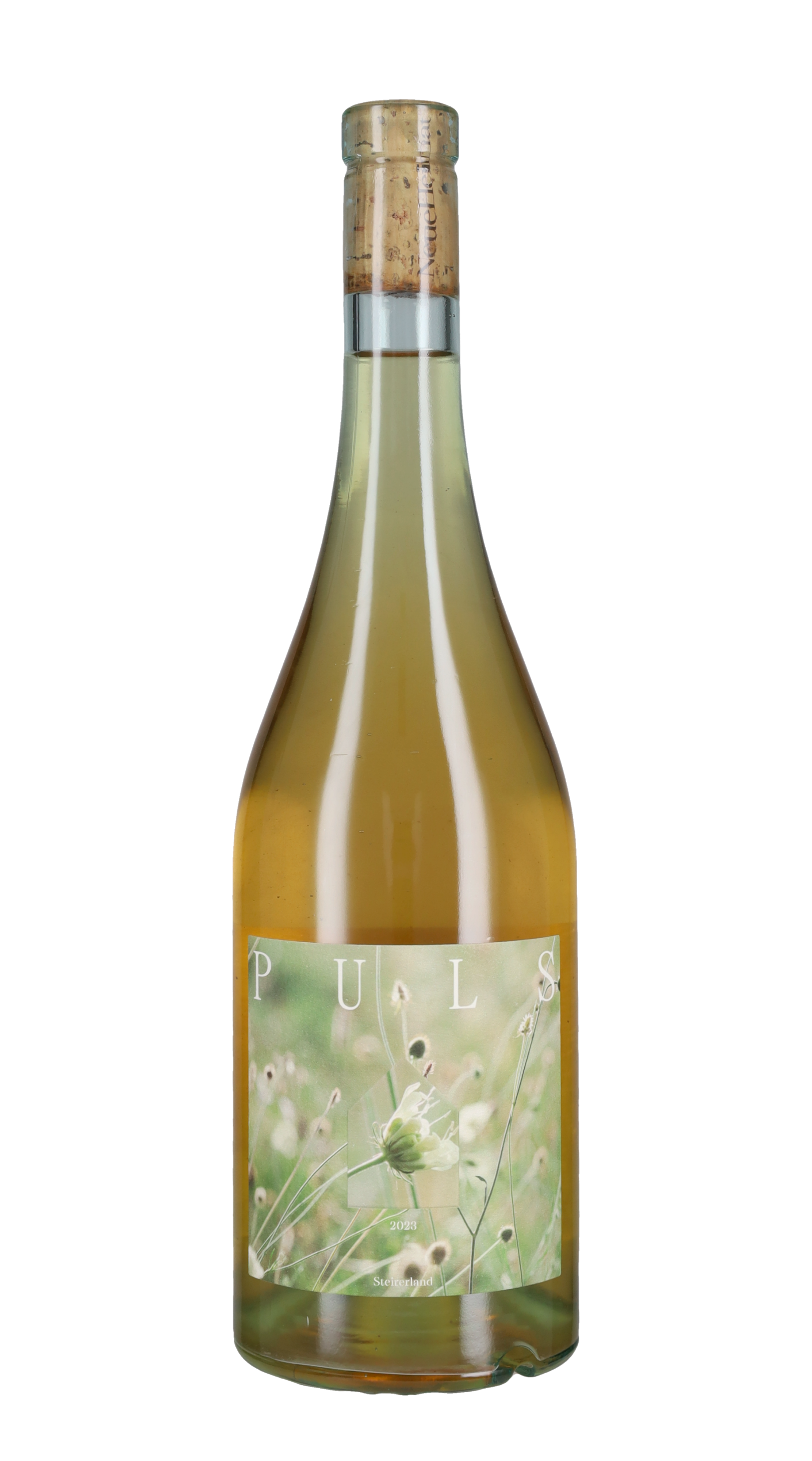 Souvignier Gris 'Puls' NeueHeimat